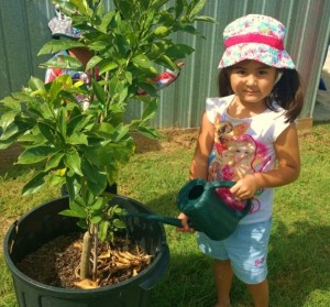Student watering tree